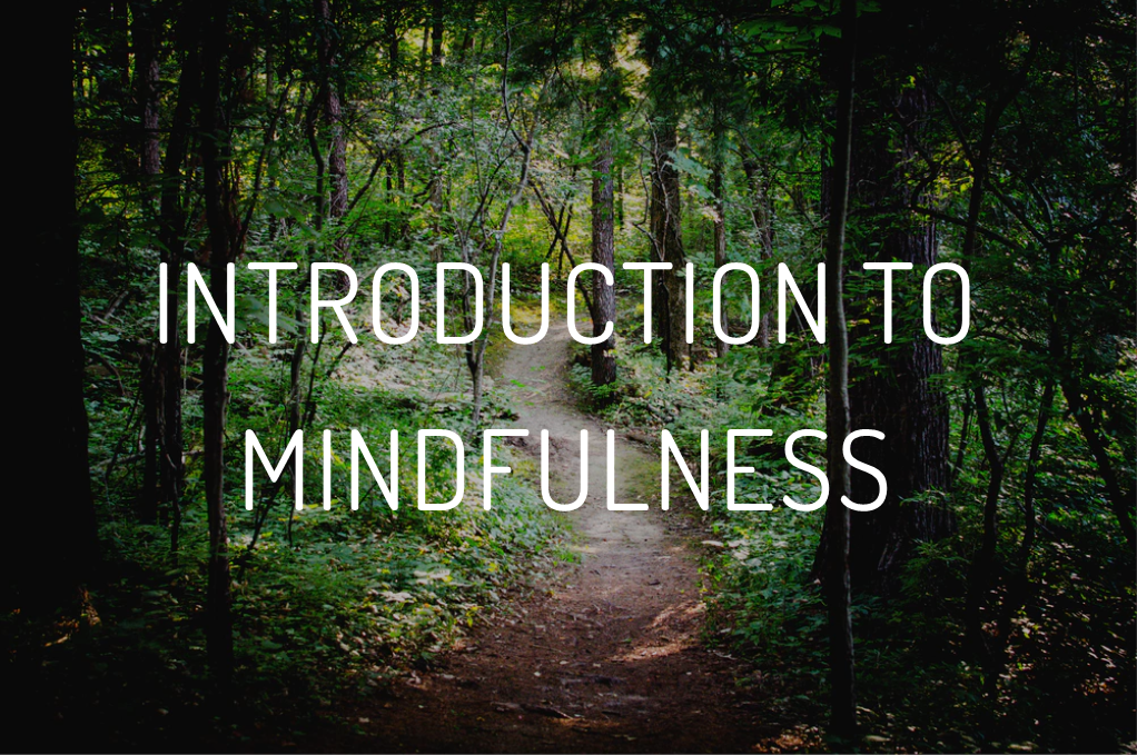 Intro workshop on the basics of mindfulness & meditation